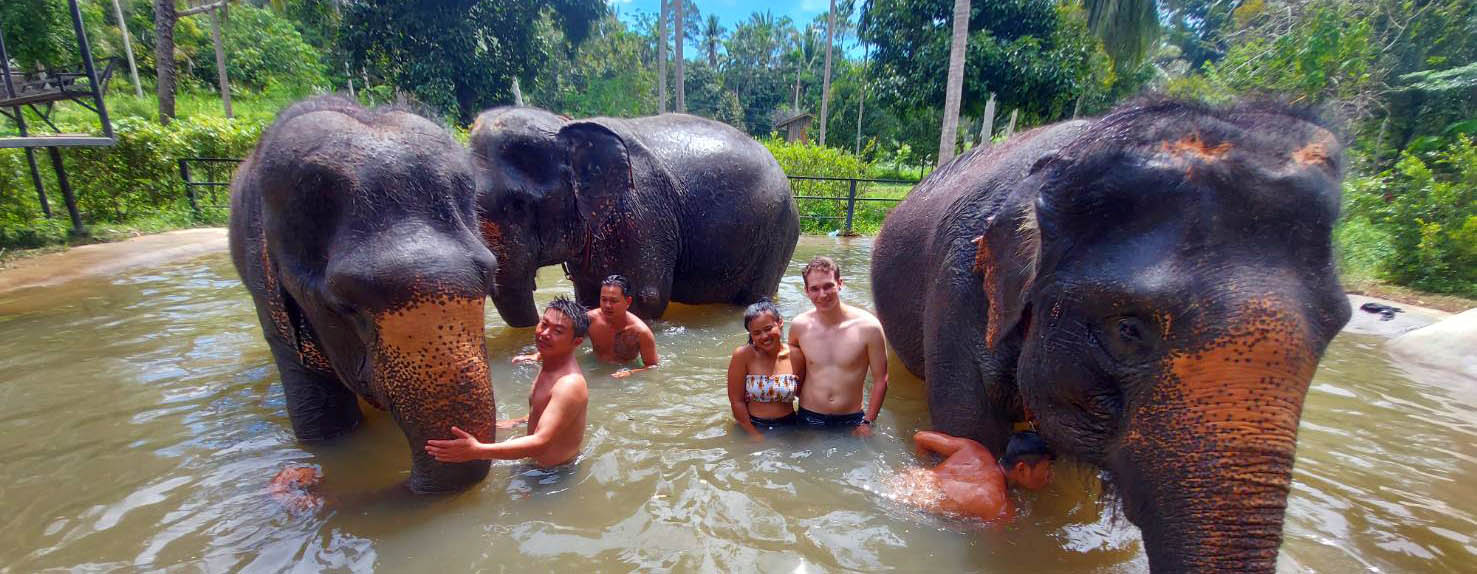 Best Respectful Elephant Sanctuaries In Thailand