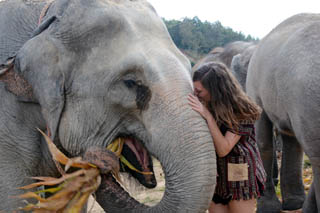 Elephant Jungle Sanctuary demi-journée