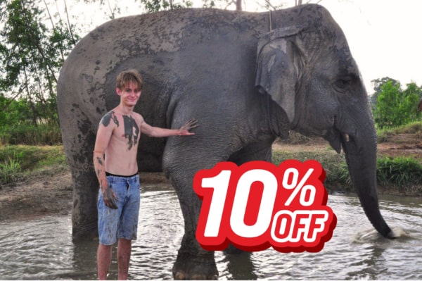 Elephant Jungle Sanctuary Pattaya