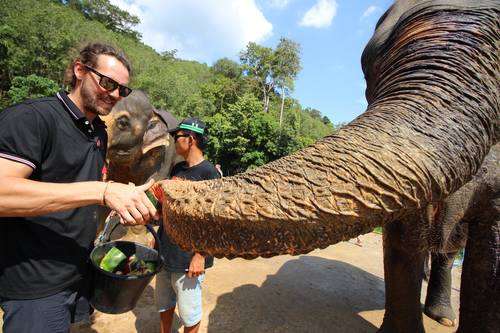 elephant-jungle-sanctuary-phuket-03.jpg