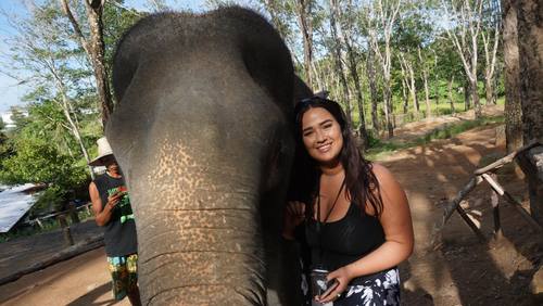 elephant-jungle-sanctuary-phuket-04.jpg
