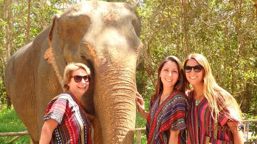 elephant-jungle-sanctuary-phuket-06.jpg