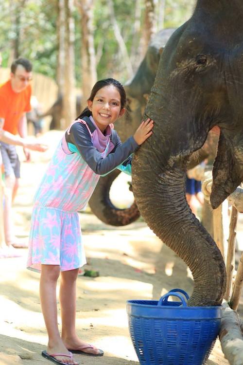 elephant-jungle-sanctuary-phuket-07.jpg