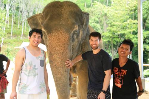 elephant-jungle-sanctuary-phuket-11.jpg