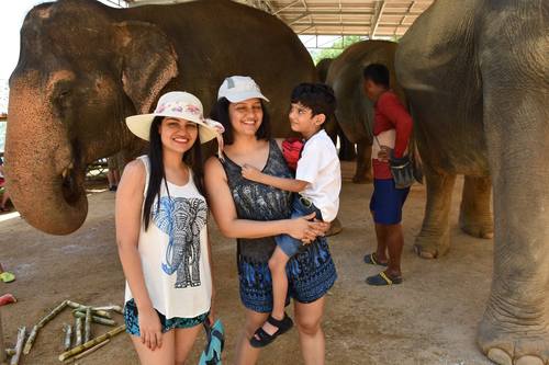 elephant-jungle-sanctuary-phuket-12.jpg