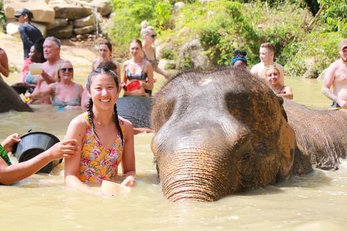 elephant-jungle-sanctuary-phuket-15.jpg