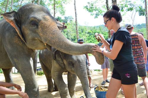 elephant-jungle-sanctuary-phuket-16.jpg