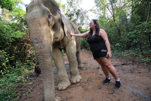 elephant-jungle-sanctuary-phuket-17.jpg