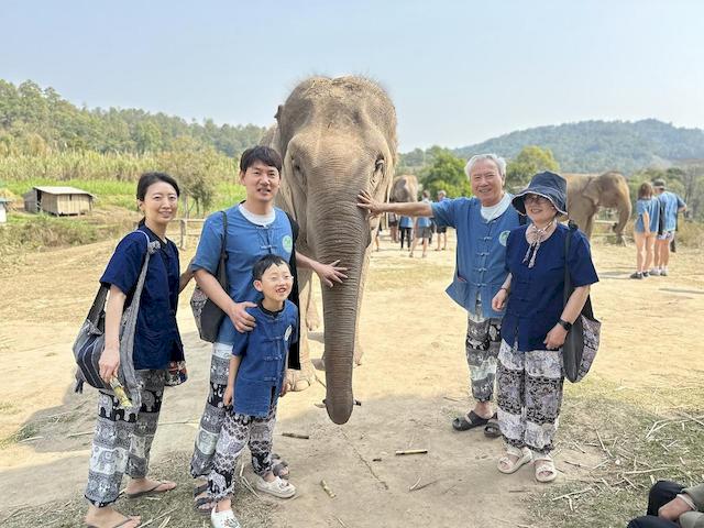 living_green_elephant_doi_inthanon_5.jpg