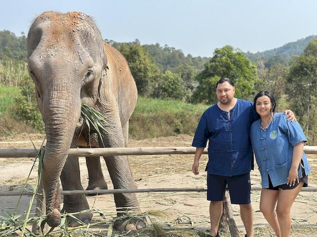 living_green_elephant_doi_inthanon_7.jpg