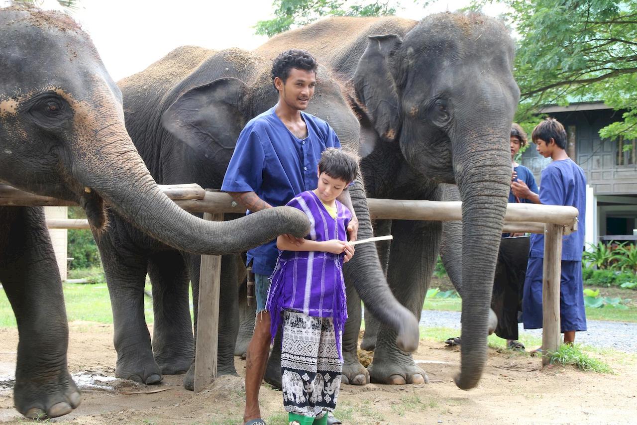 bangkok-elephant-park-1.jpg
