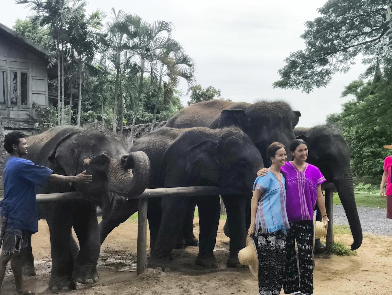 bangkok-elephant-park-2.jpg