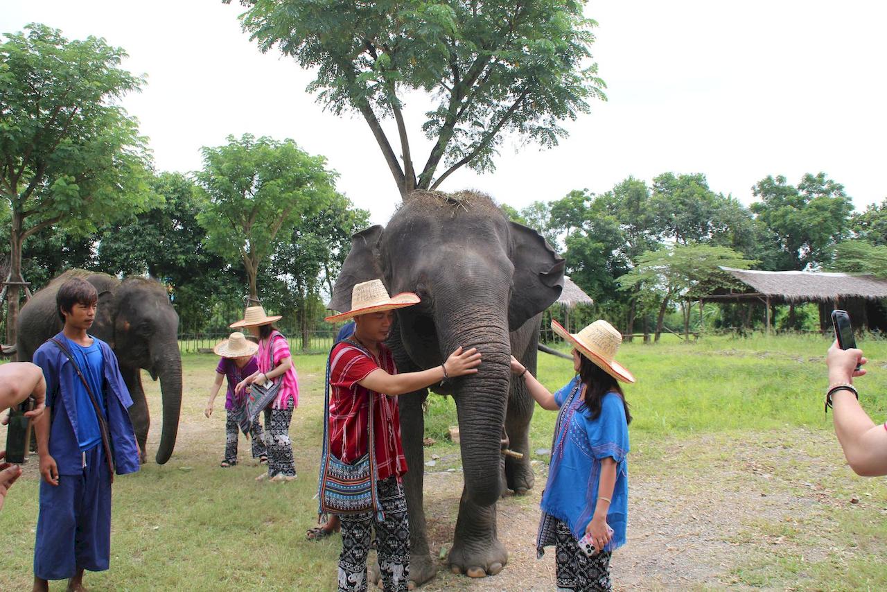 bangkok-elephant-park-4.jpg