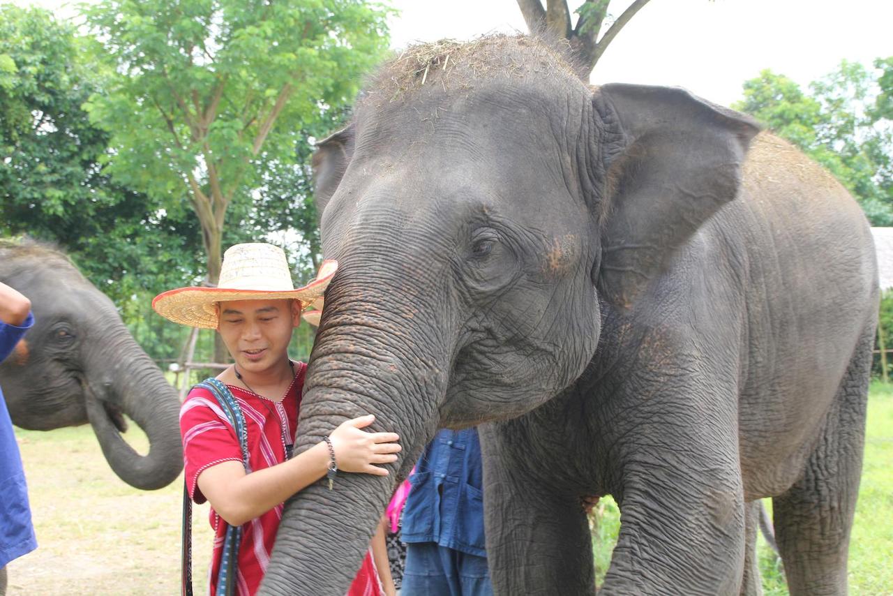 bangkok-elephant-park-5.jpg