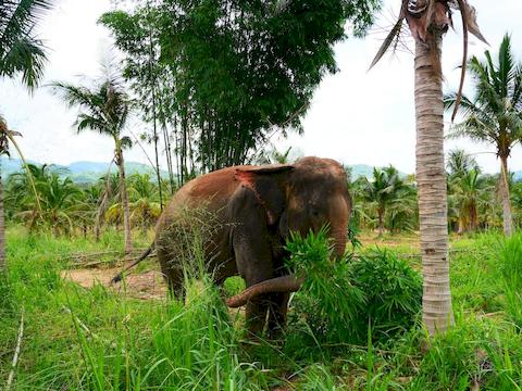 living-green-pattaya-11.jpg
