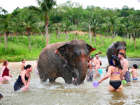 living-green-pattaya-14.jpg