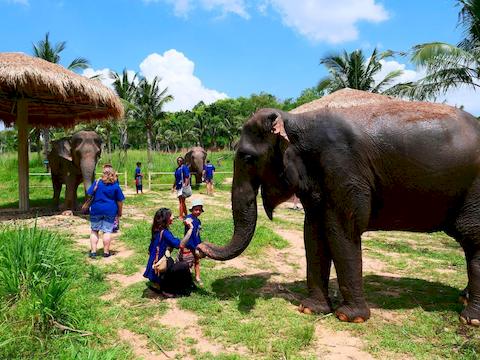 living-green-pattaya-2.jpg