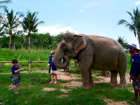 living-green-pattaya-5.jpg