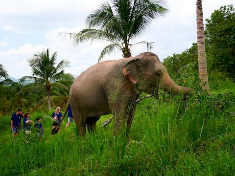 living-green-pattaya-8.jpg