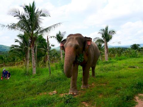 living-green-pattaya-9.jpg