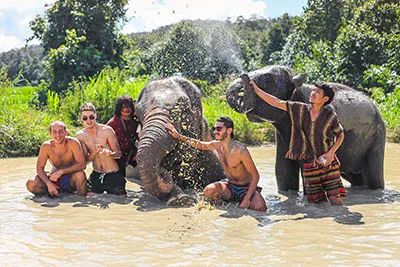 Thong Elephant Sanctuary